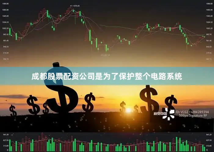 成都股票配资公司是为了保护整个电路系统